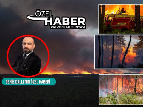 Haber gorseli