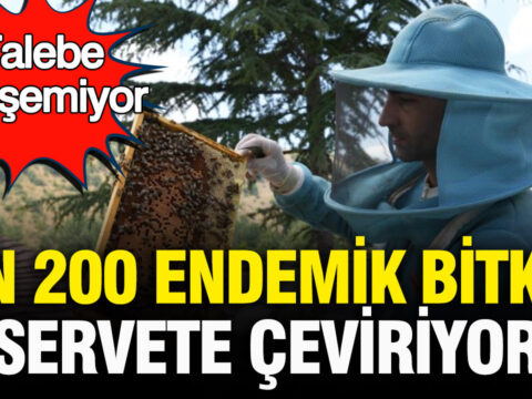 Talebe yetisemiyor bin 200 endemik bitkiyle uretilen bali tum turkiyeye satiyor hUmM3mc9